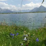 公寓 Schweinberger Sixtus Aschau Im Zillertal